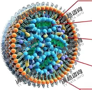 质粒 DNA 纯化填料
