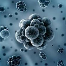 分子微生物学